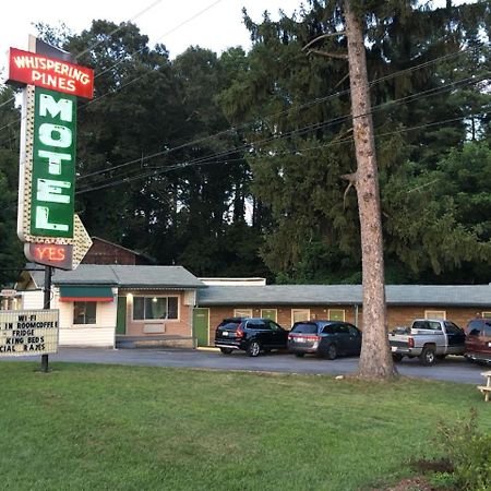 Whispering Pines Motel - Эшвилл Экстерьер фото