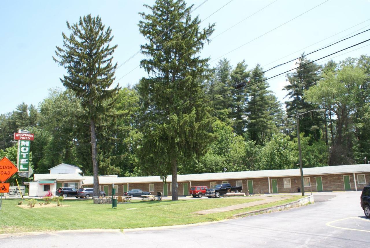 Whispering Pines Motel - Эшвилл Экстерьер фото